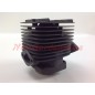 Piston cylinder segments ROBIN brushcutter engine EC 08 016942
