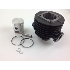 Segmentos de cilindro de pistón desbrozadora ROBIN motor EC 10 012995 | Newgardenstore.eu