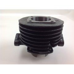 Piston cylinder segments ROBIN brushcutter EC 10 engine 012995 | Newgardenstore.eu