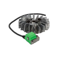 KIT MODULO ACCENSIONE + VOLANO 595312601 ORIGINALE HUSQVARNA | Newgardenstore.eu