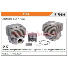 Segments de cylindre à piston STIHL tronçonneuse 08 TS350 R170119 | Newgardenstore.eu