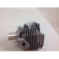 Segmentos de cilindro de pistón Desbrozadora TAS BG 328 Motor ZAINO 017967 | Newgardenstore.eu