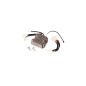 SPANNUNGSREGLER 599349073 ORIGINAL HUSQVARNA