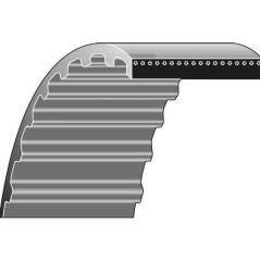 Correa dentada cortacésped cortacésped 4-455 SABO