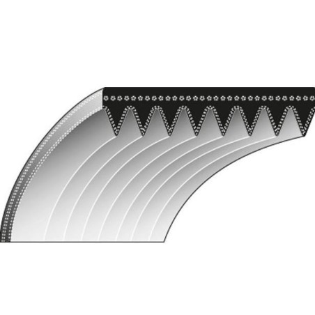 Correa dentada cortacésped cortacésped 8-631 RANSOMES | Newgardenstore.eu