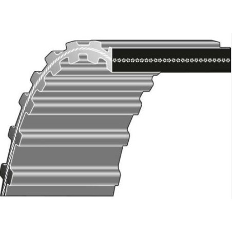 Courroie double dentée tracteur de pelouse L-1440 H- 25 MM BFB NON ORIGINAL | Newgardenstore.eu