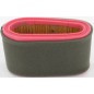 Filtro de aire tractor de césped TRE 0701 WM 13.5 GGP compatible 118550199/0 Filtro de aire tractor de césped TRE 0701 WM 13.5 GGP compatible 118550199/0