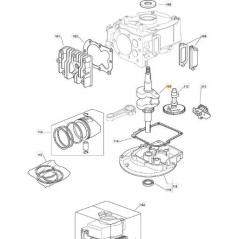 Vilebrequin pour tondeuse à gazon COLLECTOR 46 - 46 COMBI - 46S | Newgardenstore.eu