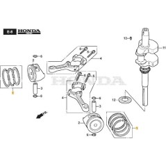 BANDES ÉLASTIQUES ORIGINALES STIGA - 118552466/0 | Newgardenstore.eu