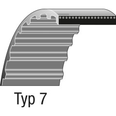 Courroie double dentée pour tracteur tondeuse ALKO 548606 | Newgardenstore.eu