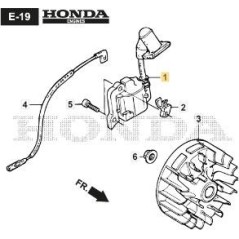 ASSIEME BOBINA ELETTRONICA ORIGINALE STIGA - 118551693/0 | Newgardenstore.eu