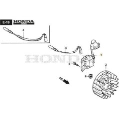 ASSIEME BOBINA ELETTRONICA ORIGINALE STIGA - 118551692/0 | Newgardenstore.eu
