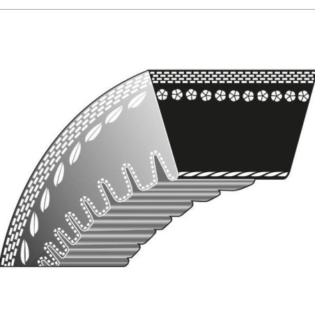 Courroie dentée tondeuse STIGA 52-073 | Newgardenstore.eu