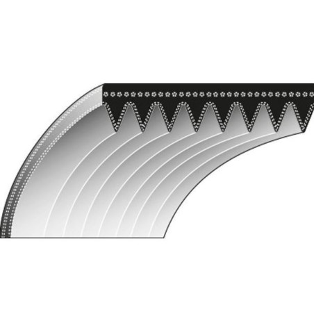 TORO 8-954 toothed belt for lawnmower mower | Newgardenstore.eu