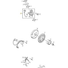 ORIGINAL STIGA CARBURETOR - 118550825/0 | Newgardenstore.eu