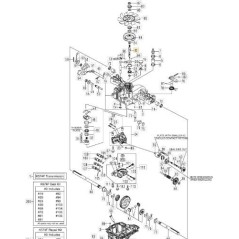 KIT D'ARBRE DE POMPE STIGA ORIGINAL - 1139-1528-01 | Newgardenstore.eu