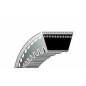 Correa dentada SABRE 14 SS para tractor cortacésped cortacésped