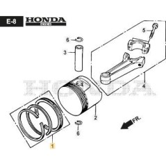 ASSIEME FASCE ELASTICHE ORIGINALE STIGA - 118551764/0 | Newgardenstore.eu