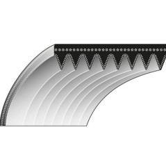 TORO PROFESSIONAL 70 Courroie dentée pour tondeuse à gazon Type 6 - 24 x 490 | Newgardenstore.eu