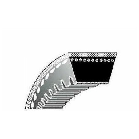 Cinturón dentado tractor cortacésped BUNTON PL0619 | Newgardenstore.eu