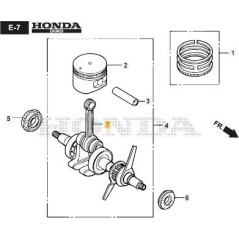 VILEBREQUIN ORIGINAL STIGA - 118551797/0