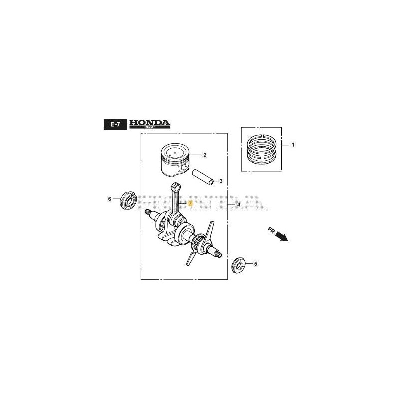 VILEBREQUIN ORIGINAL STIGA - 118551798/0