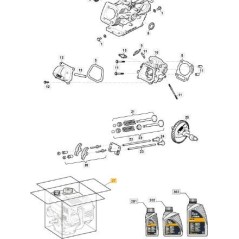 MOTEUR LC170 (DÉMARRAGE MANUEL) ORIGINAL STIGA - 118550656/0 | Newgardenstore.eu