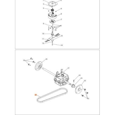 CINGHIAGGIO ORIGINALE EMAK PB0306030048 | Newgardenstore.eu