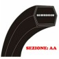 Cinghia esagonale trattorino rasaerba VIKING MT 6112.0 ZL sezione AA110