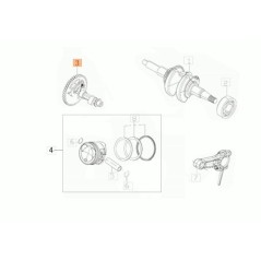 ALBERO CAMME ORIGINALE EMAK L66151809 | Newgardenstore.eu