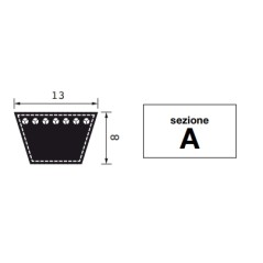 Sheeted rubber belt section A20 primitive development 538 mm agricultural machine