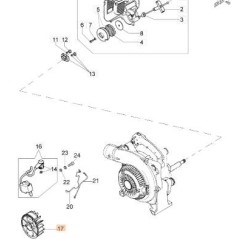 ORIGINAL FLYWHEEL EMAK 56550134R | Newgardenstore.eu