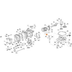 ASS. FASCE ELASTICHE ORIGINALE EMAK G118550510E0 | Newgardenstore.eu