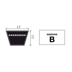 Correa trapezoidal de caucho sección B39 desarrollo 1040mm máquina agrícola