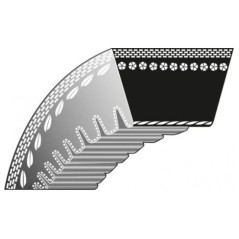 ROQUES ET LECOEUR RL 301 scarifier internal toothing belt K306030047 | Newgardenstore.eu