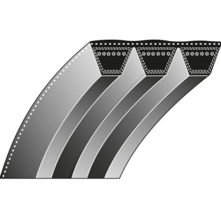 Courroie denture interne des lames T. LAMBORGHINI tondeuse EL 3816 TL - EL 4218 TL | Newgardenstore.eu