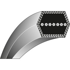 Courroie plate lames hexagonales AA121.5 TORO tondeuse GROUNDMASTER - 62" 446260 | Newgardenstore.eu