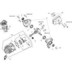 Anillo de retención EMAK original 3024001R | Newgardenstore.eu