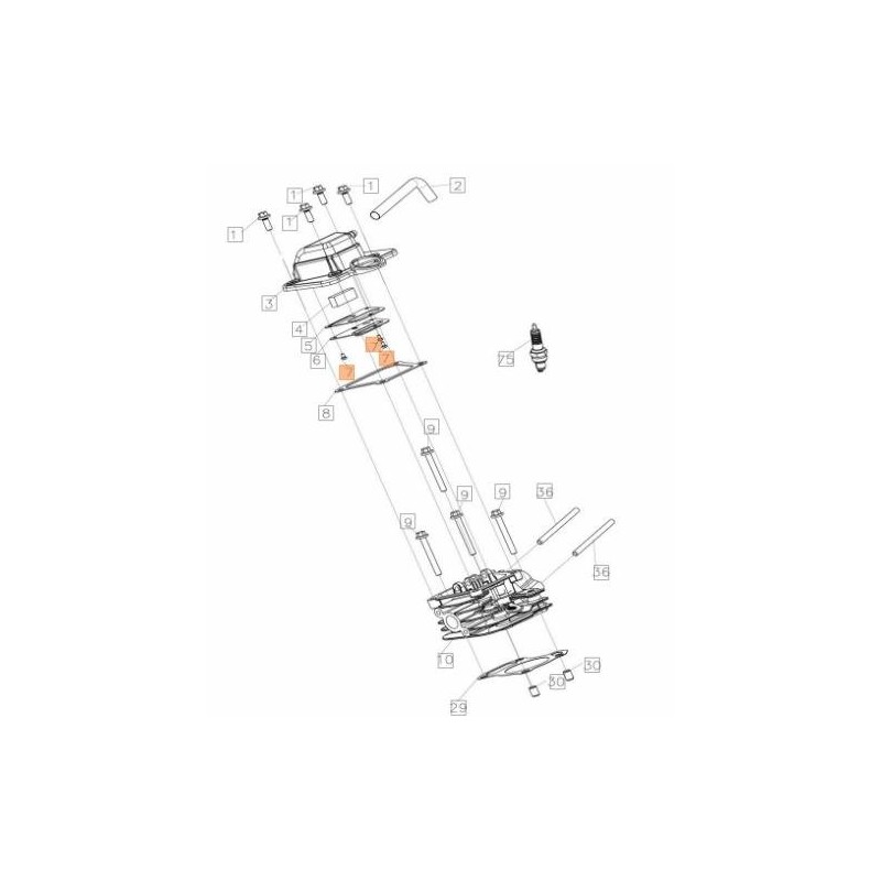 VITE ORIGINALE EMAK L66152473