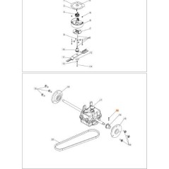 SPINA ORIGINALE EMAK PB0301020001 | Newgardenstore.eu