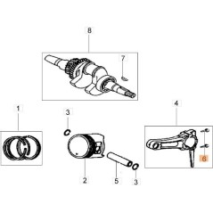 VITE ORIGINALE EMAK L66150343 | Newgardenstore.eu