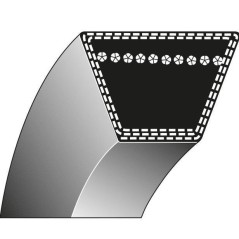 Correa trapezoidal PUBERT Eco Elite Primo 13598 13598A