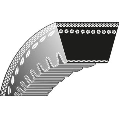 Cinghia trapezoidale rasaerba tagliaerba 22-362 AS-MOTOR