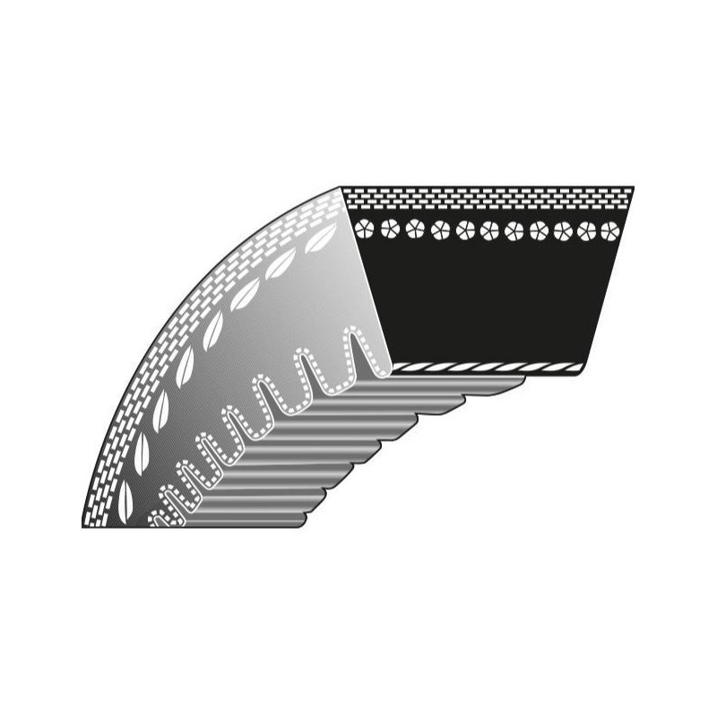 Correa trapezoidal para cortacésped 22-362 AS-MOTOR