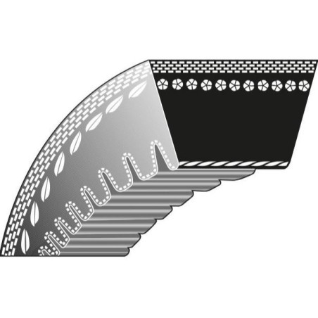 Courroie trapézoïdale pour tondeuse 22-362 AS-MOTOR | Newgardenstore.eu