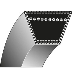 Correa trapezoidal cortadora de césped 52-186 ALPINA