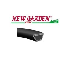 Correa en V tractor cortacésped 8-017 TORO CABALLO DE RUEDAS 110-6953 | Newgardenstore.eu