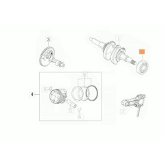 CUSCIN.A SFERE 20X47X14 6204 ORIGINALE EMAK L66151806 | Newgardenstore.eu