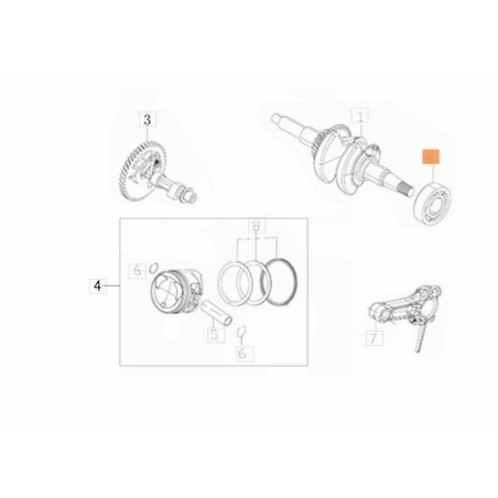 BALL BEARING 20X47X14 6204 ORIGINAL EMAK L66151806 | Newgardenstore.eu
