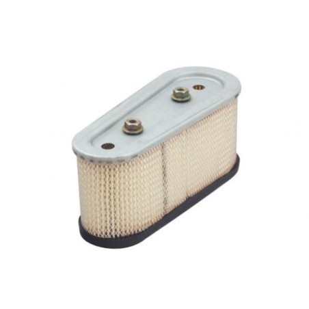 Filtro de aire TECUMSEH código original 36356 para 15 CV OHV 199019 | Newgardenstore.eu